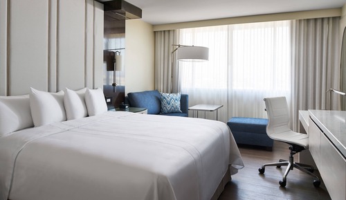 Room, 1 King Bed (Hearing Accessible)