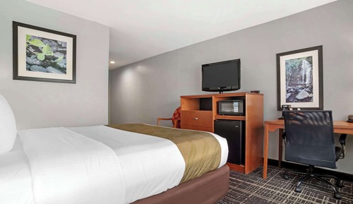 Room, 1 Double Bed, Non Smoking