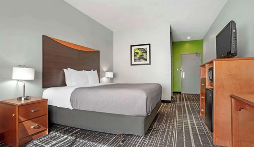 Room, 1 King Bed, Accessible, Non Smoking