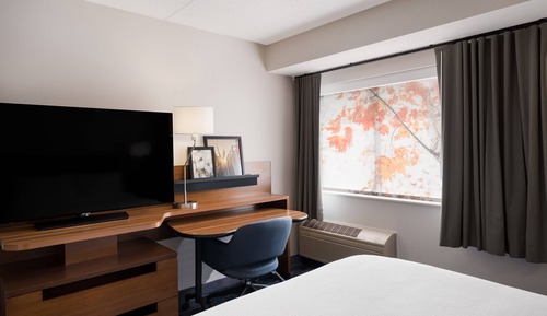 Room, 1 King Bed with Sofa bed (Mobility Accessible, Tub)