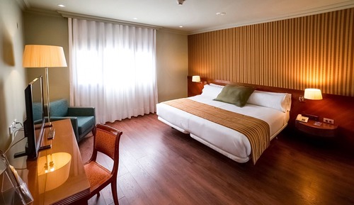 Junior Studio Suite, 1 Queen Bed