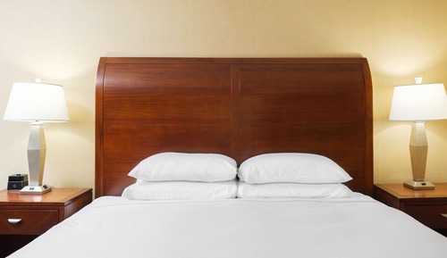 Room, 1 King Bed with Sofa bed