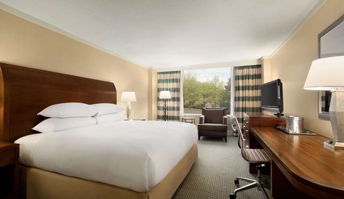 Room, 1 King Bed, Accessible (Roll-In Shower)