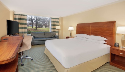 Room, 1 King Bed with Sofa bed (High Floor)