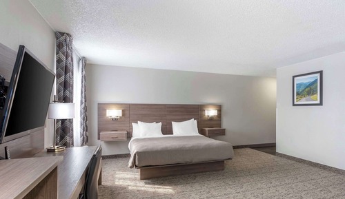 Single Room, 1 Queen Bed, Non Smoking