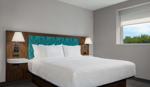 Room, 1 King Bed, Accessible (Roll-In Shower)