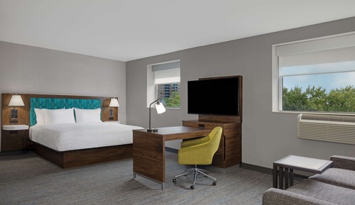 Studio Suite, 1 King Bed, Park View