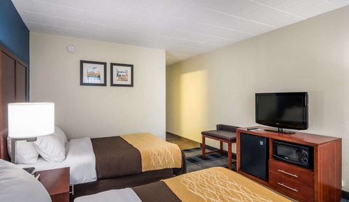 Standard Room, 2 Double Beds, Non Smoking