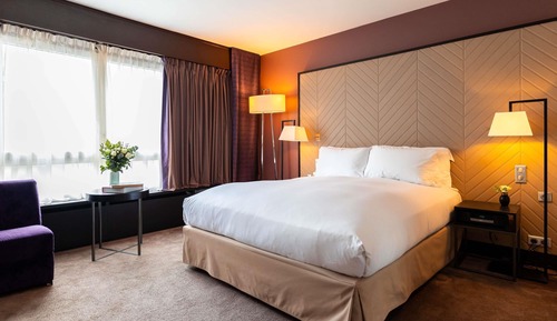 Luxury Room, 1 King Bed with Sofa bed, Garden View