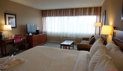 Business Room, 1 King Bed, Non Smoking
