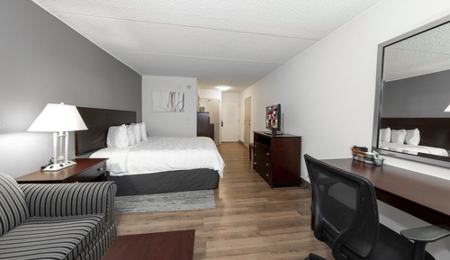 Deluxe Room, 1 King Bed with Sofa bed, Accessible (Smoke Free, Roll-In Shower)