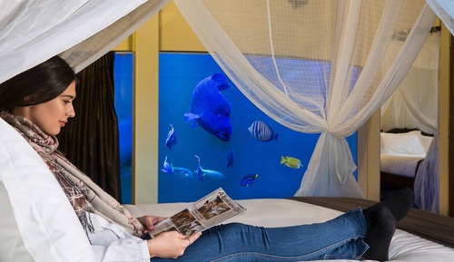 Reef Room