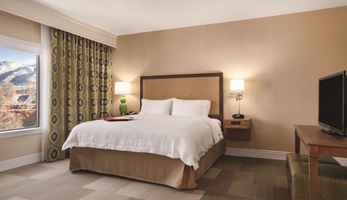 Room, 1 King Bed, Non Smoking, Refrigerator & Microwave