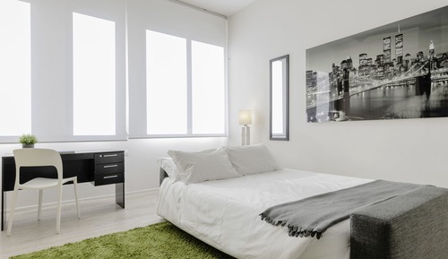 Superior Apartment (Via Amerigo Vespucci 13)