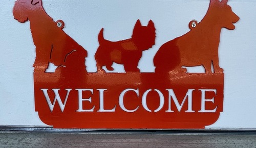 Accessible, Dog-Friendly Double