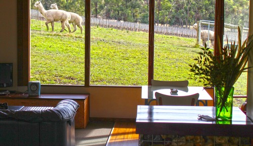 Standard Studio (Cottage 1)