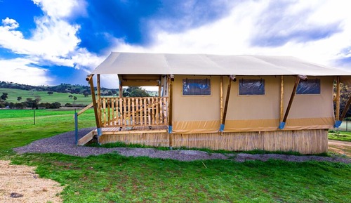 Glamping Safari Tent (Cub) 