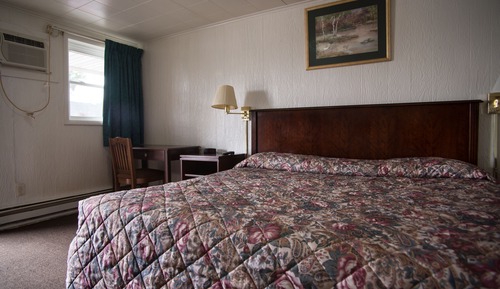 Room, 1 King Bed