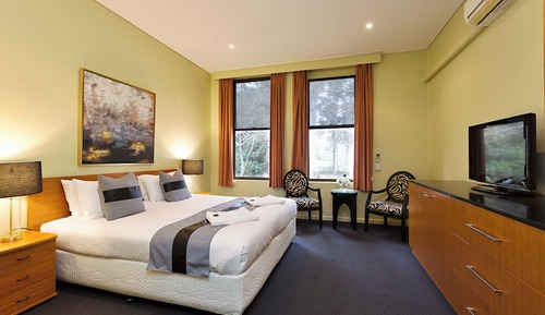 Standard Room (King Suite)