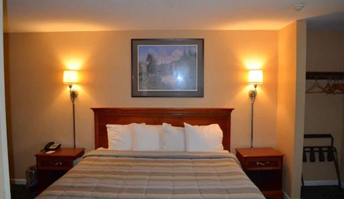 Room, 1 King Bed