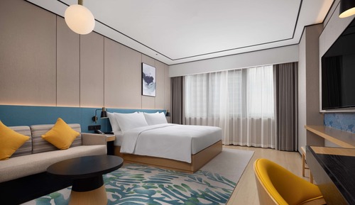 Room, 1 King Bed
