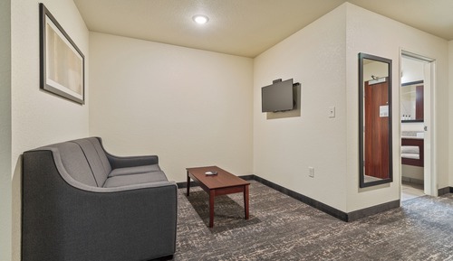 Studio, 1 King Bed with Sofa bed, Accessible, Non Smoking