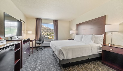 Room, 1 King Bed, Accessible, Non Smoking (Guestroom)