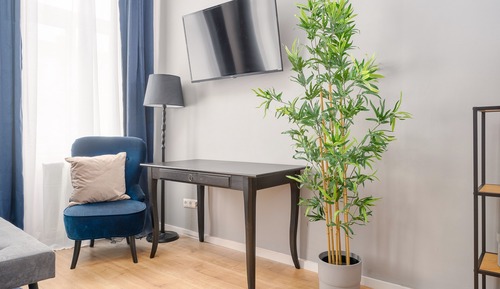 Apartment (3)