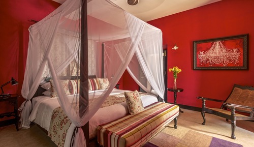 Premium Room, 1 Double Bed, Sea View