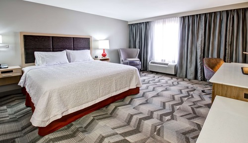 Room, 1 King Bed, Accessible, Non Smoking (Roll In Shower)