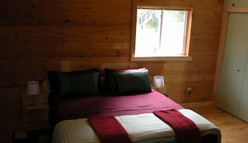 Room, 1 King Bed, Kitchenette
