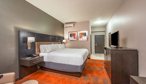 Standard Room, 1 King Bed, Accessible (Communications, Roll-In Shower)