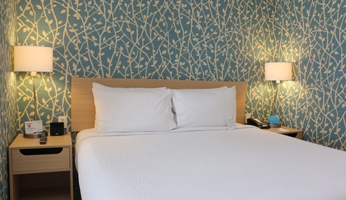 Room, 1 King Bed