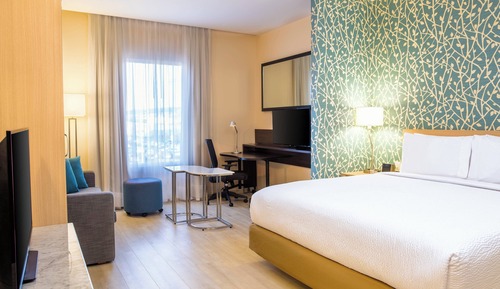 Suite, 1 King Bed with Sofa bed