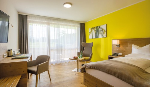 Single Room, Balcony, Mountain View