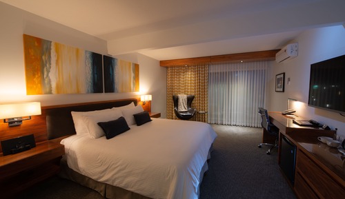 Standard Room, 1 King Bed, Patio, Ground Floor Pet Friendly
