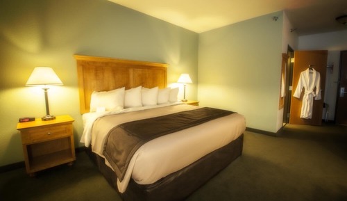 Room, 1 King Bed
