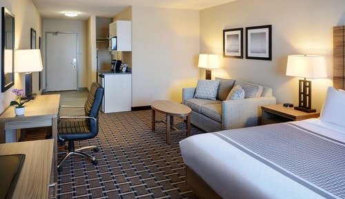 Standard Studio, 1 King Bed with Sofa bed
