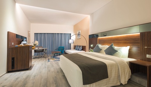 Superior Studio Room with Lake View- King Bed
