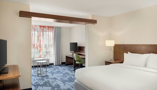 Studio Suite, 1 King Bed with Sofa bed
