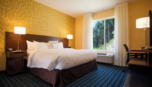 Room, 1 King Bed