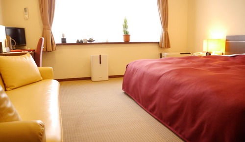 Double Room, 1 King Bed, Non Smoking
