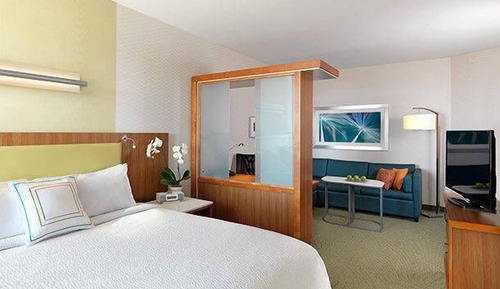 Suite, 1 King Bed with Sofa bed, Non Smoking (Mobility/Hearing Access, Roll-In Shwr)