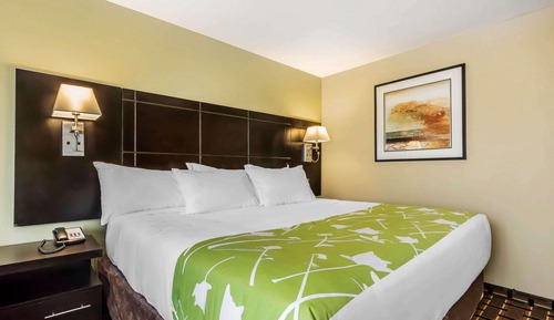 Standard Room, 1 King Bed, Non Smoking