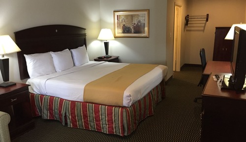 Room, 1 King Bed