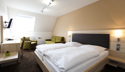 Double or Twin Room (Main Building or Annex Building)