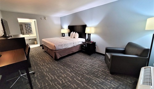 Standard Room, 1 King Bed, Smoking