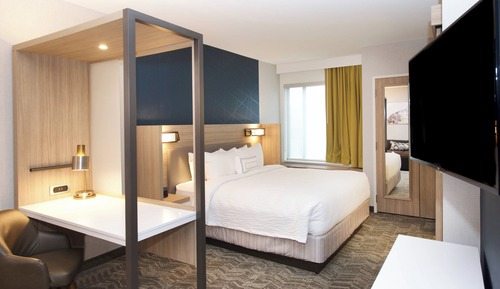 Suite, 1 Queen Bed with Sofa bed