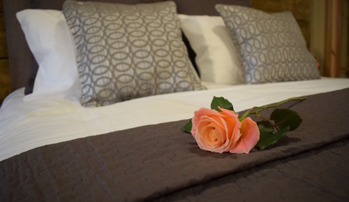 Junior Suite (Room Only)