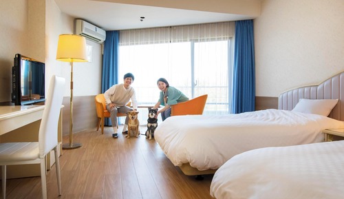 Standard Twin Room, Non-Smoking